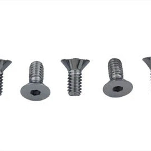 Chrome Allen Type Front Disc Screw for Harley-Davidson