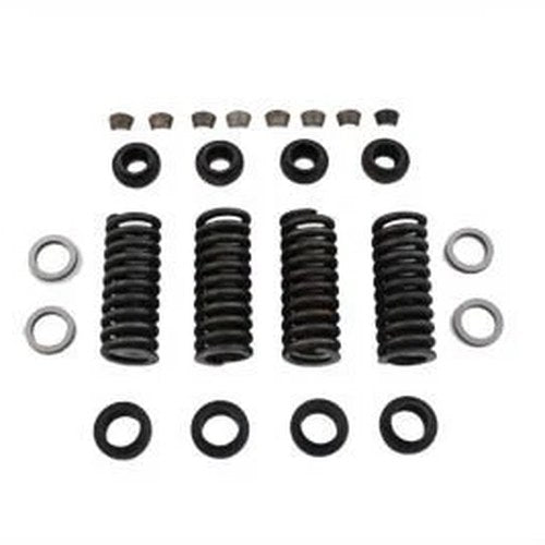 Valve Spring Kit for Harley-Davidson
