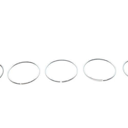 Piston Ring for Rear Brake Caliper for Harley-Davidson