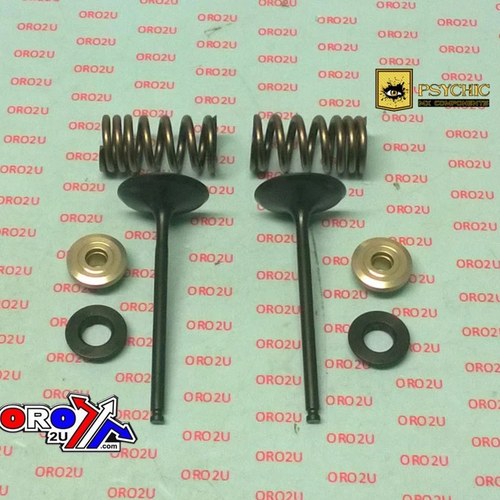 Psychic Inlet Valve+SPRING Kit Suzuki RM-Z 250 2007-2009