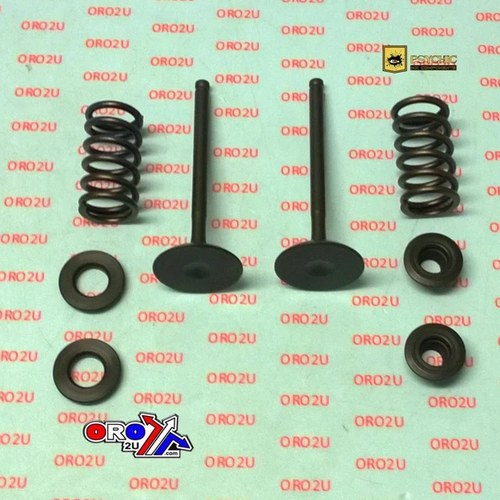 Exhaust Valve+SPRING Kit GAS-GAS EC450F 2013-2015
