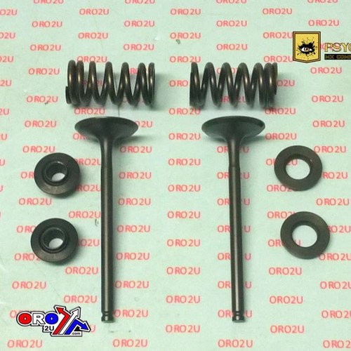 Psychic Exhaust Valve+SPRING Kit KTM 350 XCF-W/EXC-F 12-16, Husq FE350 13-19