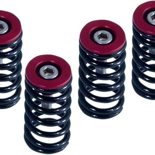 Barnett Clutch Spring Kit Red for Dry Clutch Ducati Motorcycles