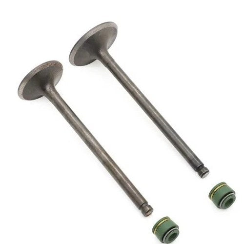 Valve Set INTAKE/EXHAUST + Seals Suzuki LT185 84-87, GN125 81-97, GS125-91-97