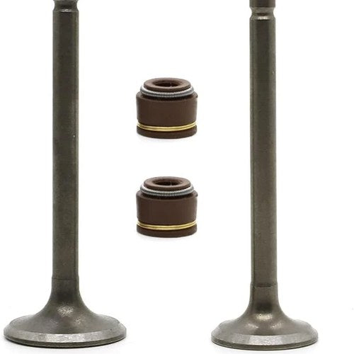 Intake + Exhaust Valves And Seals Yamaha YFM80 RAPTOR/GRIZZLY/MOTO-4/BADGER