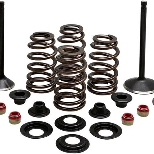 Kibblewhite Black Diamond Complete Engine Valve Kit #20-22850
