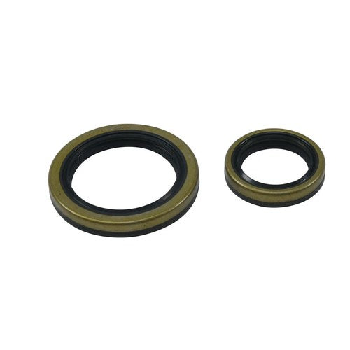 Crank Bearing & Seal Kit For Beta Evo 4T 250 2009-2018