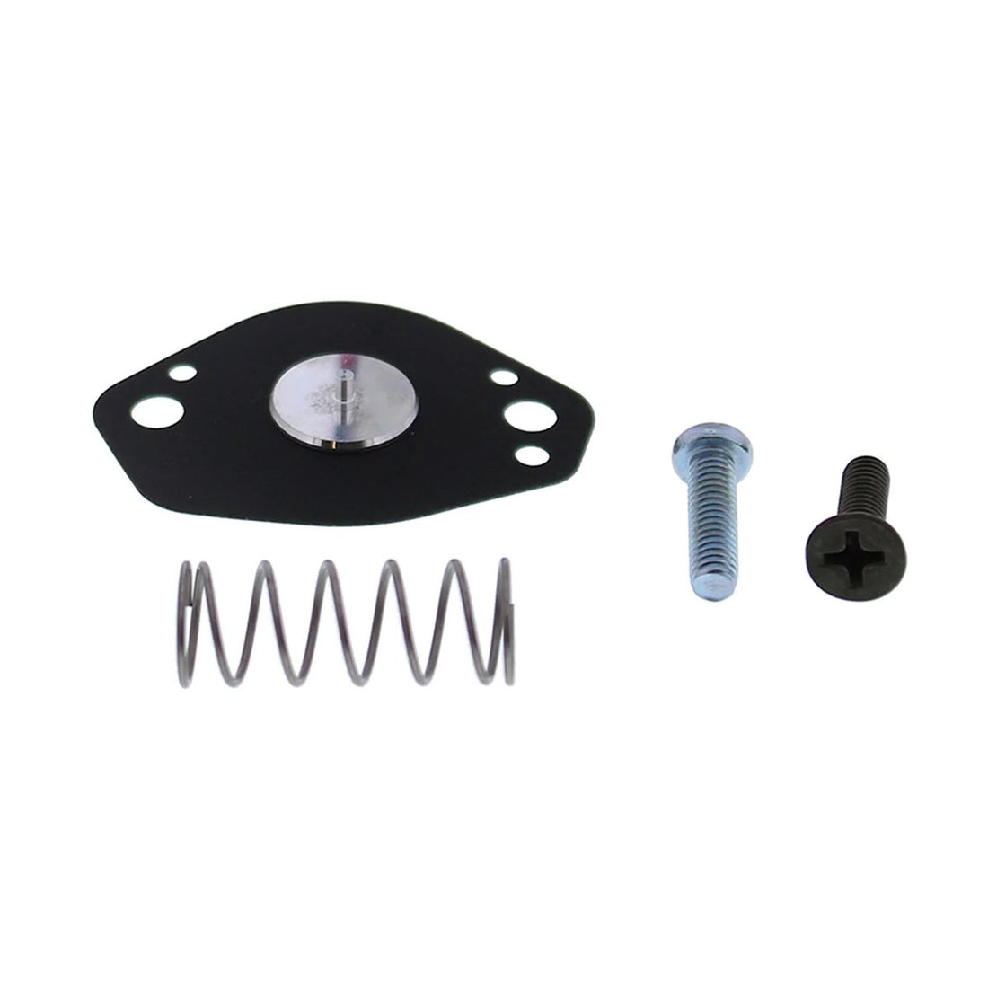 All Balls Carburetor Rebuild Kit