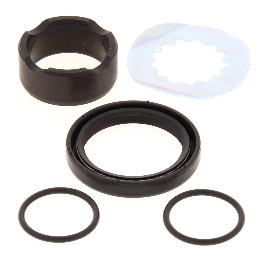 Oil Seal CMS25-4019