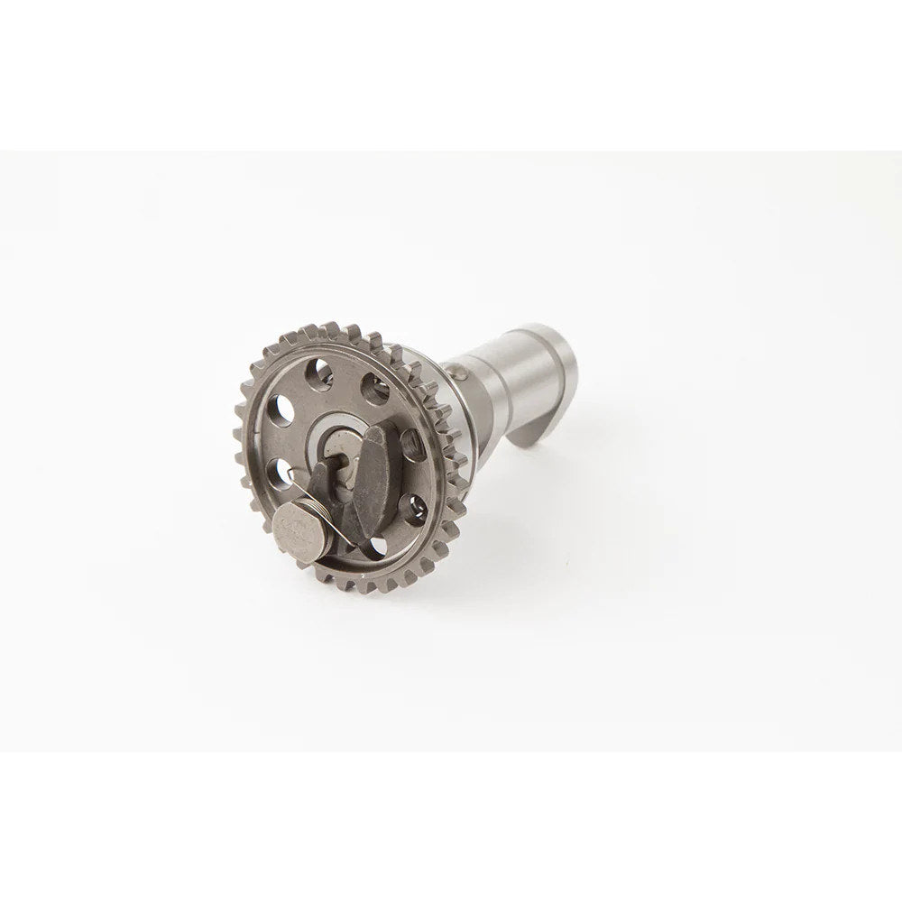 Motion Pro Camshaft
