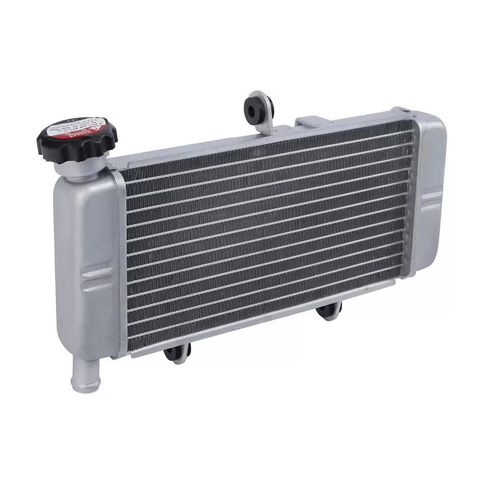 Fit Honda CBR300R 2015-2022 CB300F 2015-2018 Engine Compartment Cooling Radiator