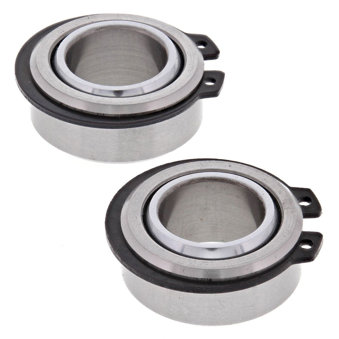 Swingarm Bearing