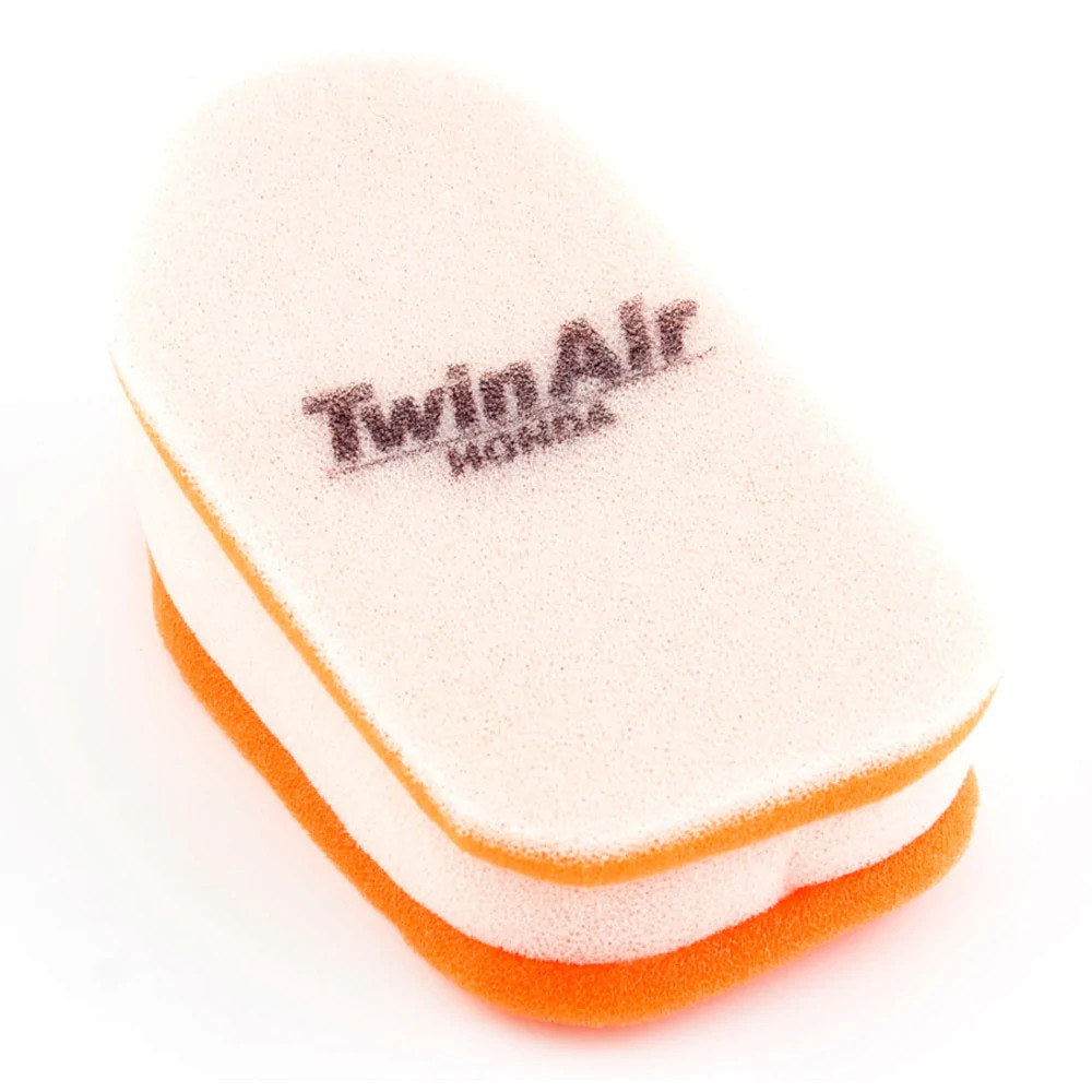 Twin Air Air Filter