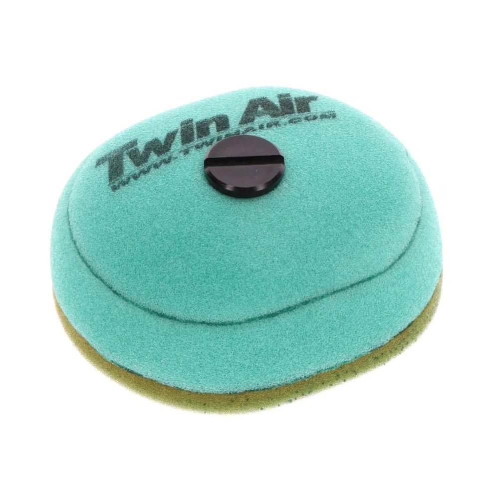 Twin Air Air Filter