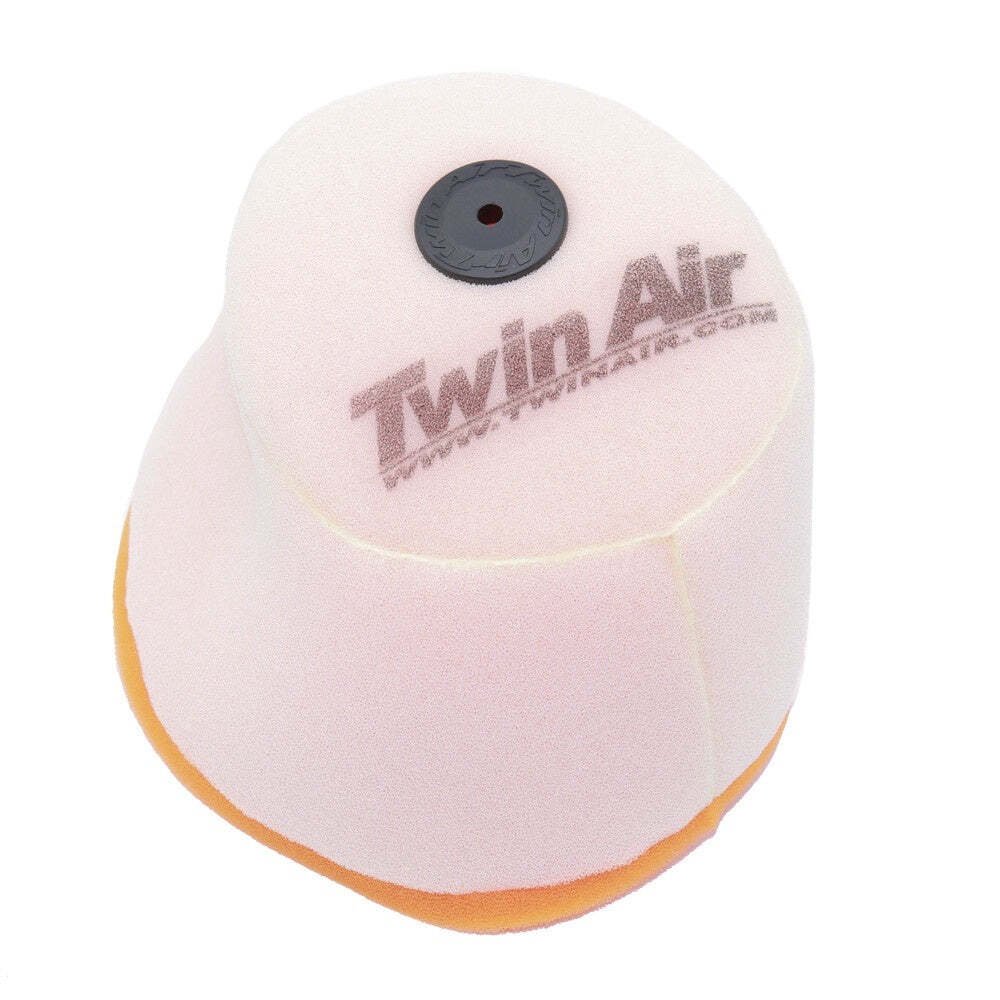 Twin Air Air Filter