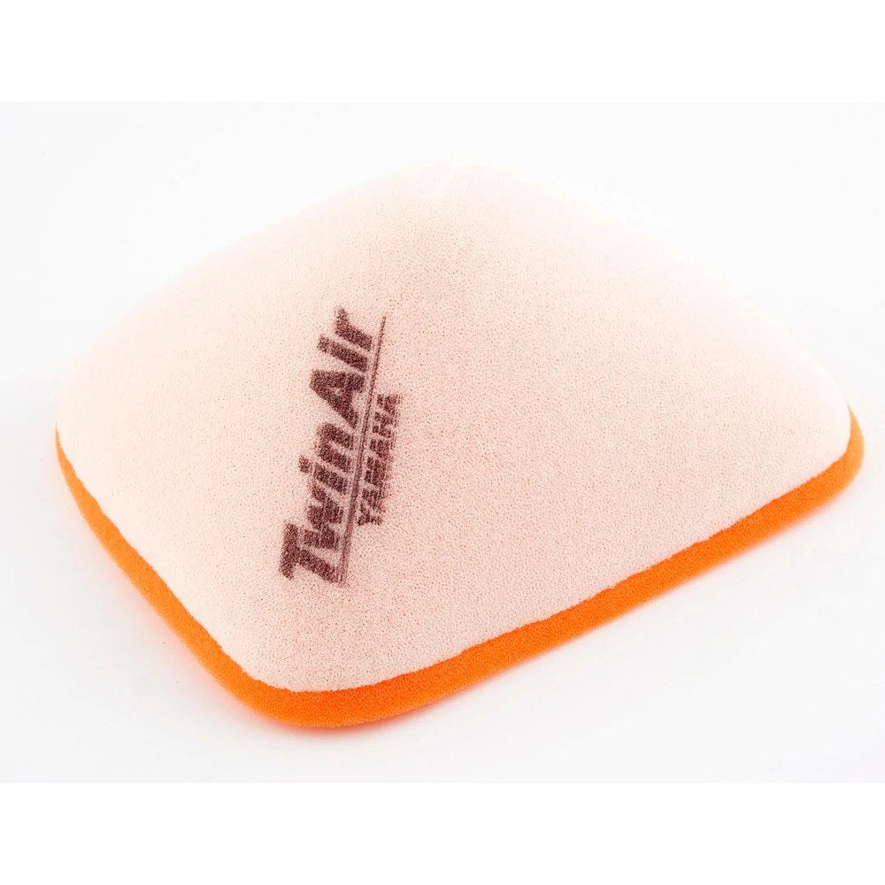 Twin Air Air Filter