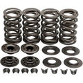 Kibblewhite 20-20132 Valve Spring Kit- Big Twin