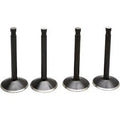 Kibblewhite 20-22100 Engine Valve Kit- Panhead