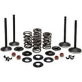 Kibblewhite 20-22650 Engine Kit Complete Valve Kit for Evo Harley 84-98