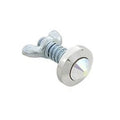 V-Twin 37-1971 License Plate Bolt Set Pearl Style 4-Pack