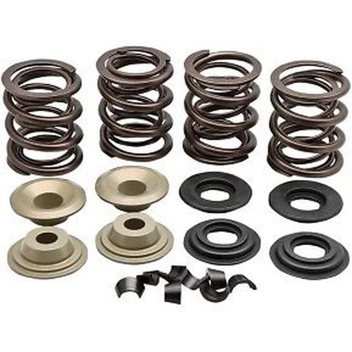 Kibblewhite 20-21150 Complete Valve Spring Kit