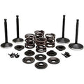 Kibblewhite 20-22350 Engine Kit Complete Valve Kit
