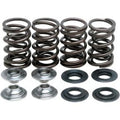 Kibblewhite 60-60045 Valve Spring Kit