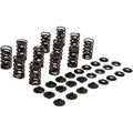 Kibblewhite 80-81700 Lightweight Racing Valve Spring Kit- Steel