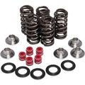 Kibblewhite 80-80206 Valve Spring Kit
