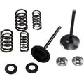 Kibblewhite 30-33250 Stainless Steel Conversion Valve and Spring Kit