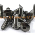 10x Rieju RS2 50 125 Fairing Bolts m6 x 16mm Pan Button Head Stainless Bolt