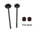 Intake Exhaust Valves For Yamaha XV250 Virago Route 66 V-Star XVS250 Drag Star