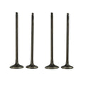 2 Pairs Intake & Exhaust Valves Stem Kit For Yamaha TT-R250 TTR250 1999-2006