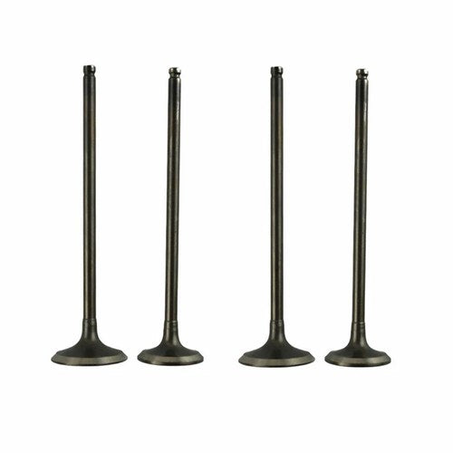 2 Pairs Intake Exhaust Valves Kit for Suzuki Djebel 250 DR250 96-07 DRZ250 01-09