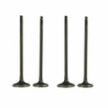 2 Pairs Intake Exhaust Valves Kit for Suzuki Djebel 250 DR250 96-07 DRZ250 01-09