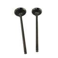 Intake & Exhaust Valves For Kawasaki KLX300 R 1996-2007 KLX250 R/S/SF 1992-2015