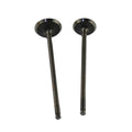 1 Pairs Intake & Exhaust Valves Kit For Kawasaki KL250 Super Sherpa 1997-2010