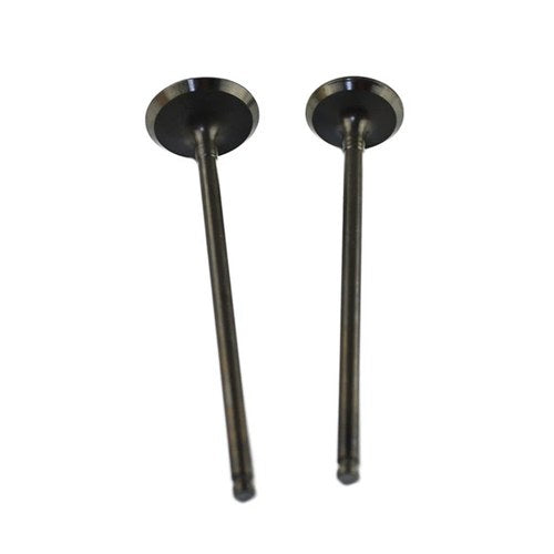 1 Pairs Intake & Exhaust Valves Kit For Kawasaki KL250 Super Sherpa 1997-2010