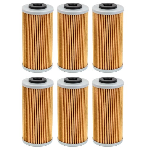 6 Packs Oil Filters for BMW G450X 2009-2012