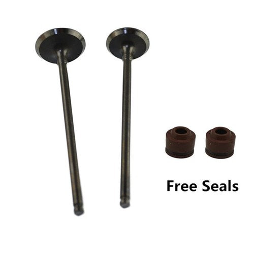Intake Exhaust Valves For Kawasaki EL250 Eliminator EX250 Ninja ZZR250 GPX250R
