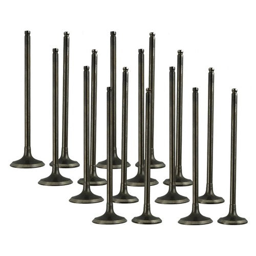 16pcs Intake Exhaust Valves For Kawasaki ZX250 ZXR250 ZXR250R 89-99 ZR250 91-07