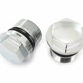 Set of 2 Chrome Fork Tube Bolts - 35mm - 90123-300-000 - CR/MT/XL250 XL350 CB450