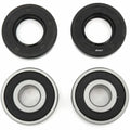 Rising Sun Front Wheel Bearing Kit - Honda CBR250R CB300F CBR300R