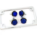 Chrome Motorcycle License Plate Frame w/ 4 Blue Reflector Bolts Set