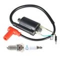 30500-GS2-005 Ignition Coil & Spark Plug For Honda CR80R CR85RRB 1987-2007 New