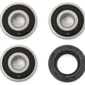 Rising Sun Rear Wheel Bearing Kit - Honda CB-1 CB450SC GB500 VF500 CBR600F VT600