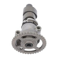 Camshaft For Honda Fourtrax Rincon 680 4x4 Auto TRX680FA 2006-2023 14100HN8B40