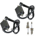 2× For Yamaha Virago XV535 1987-2000 2GV-82310-21-00 Ignition Coils Spark Plug