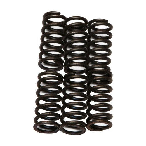 Ebc Clutch Spring Set CSK6 Honda CRF150 Kawasaki KDX250 Suzuki GS550 GS1000