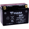 Agm Maintenance-Free Battery - YT9B-BS